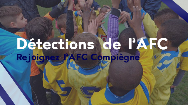 Detection AFC 2016